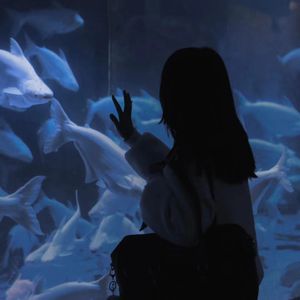 范冰冰性爽歪歪大片免费观看
